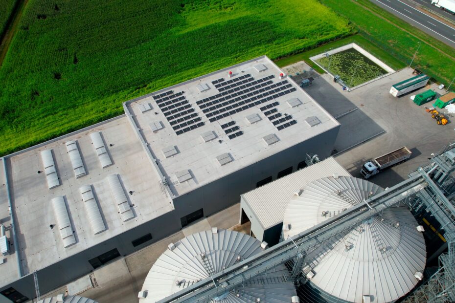 ZORAWINA-MIESO-WCINA zorawina_wynik